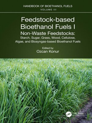 cover image of Feedstock-based Bioethanol Fuels. I. Non-Waste Feedstocks